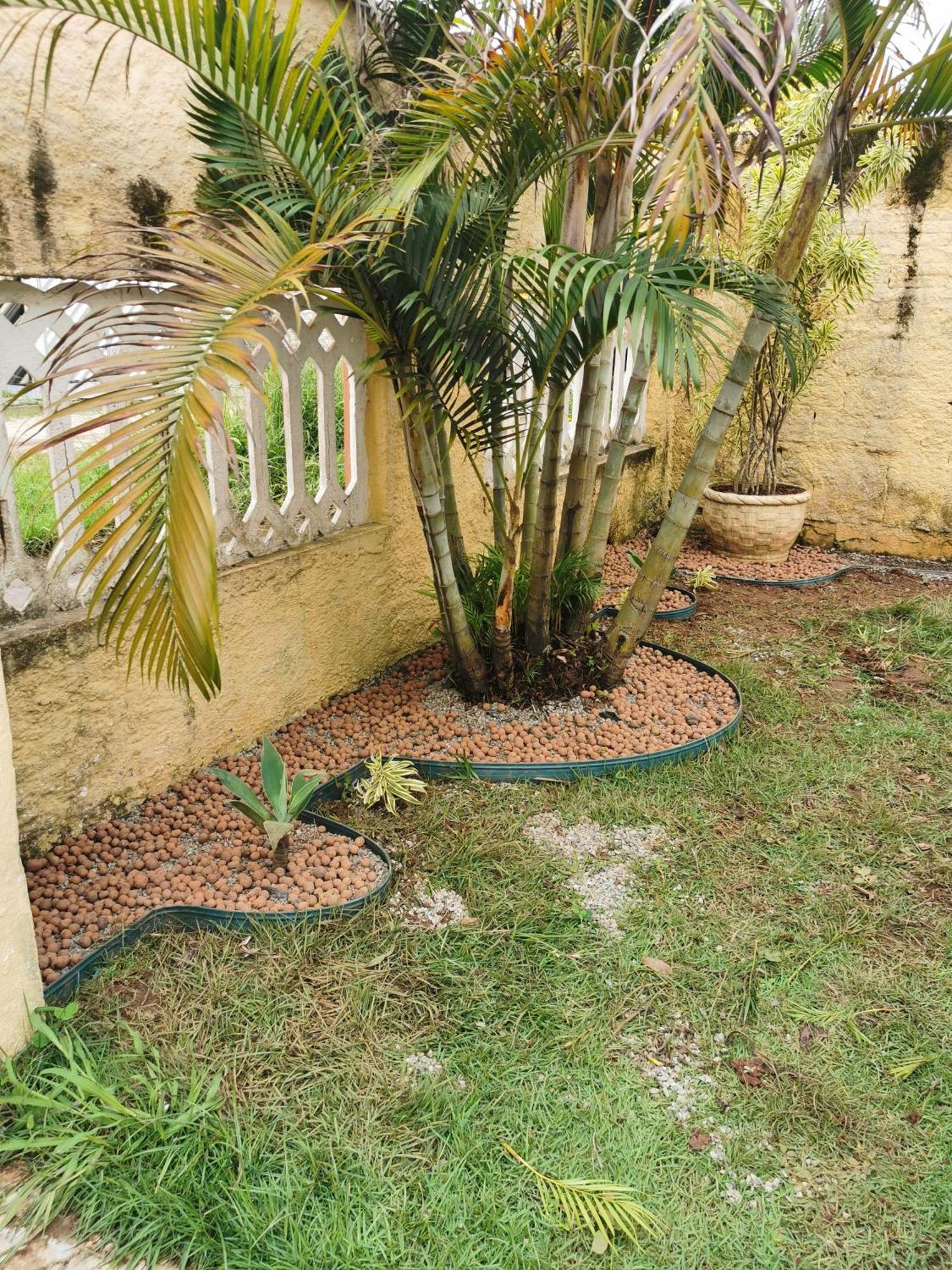 Casa Valente House